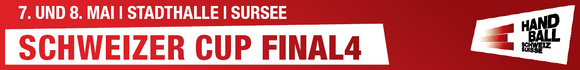 handballCupFinal4.png